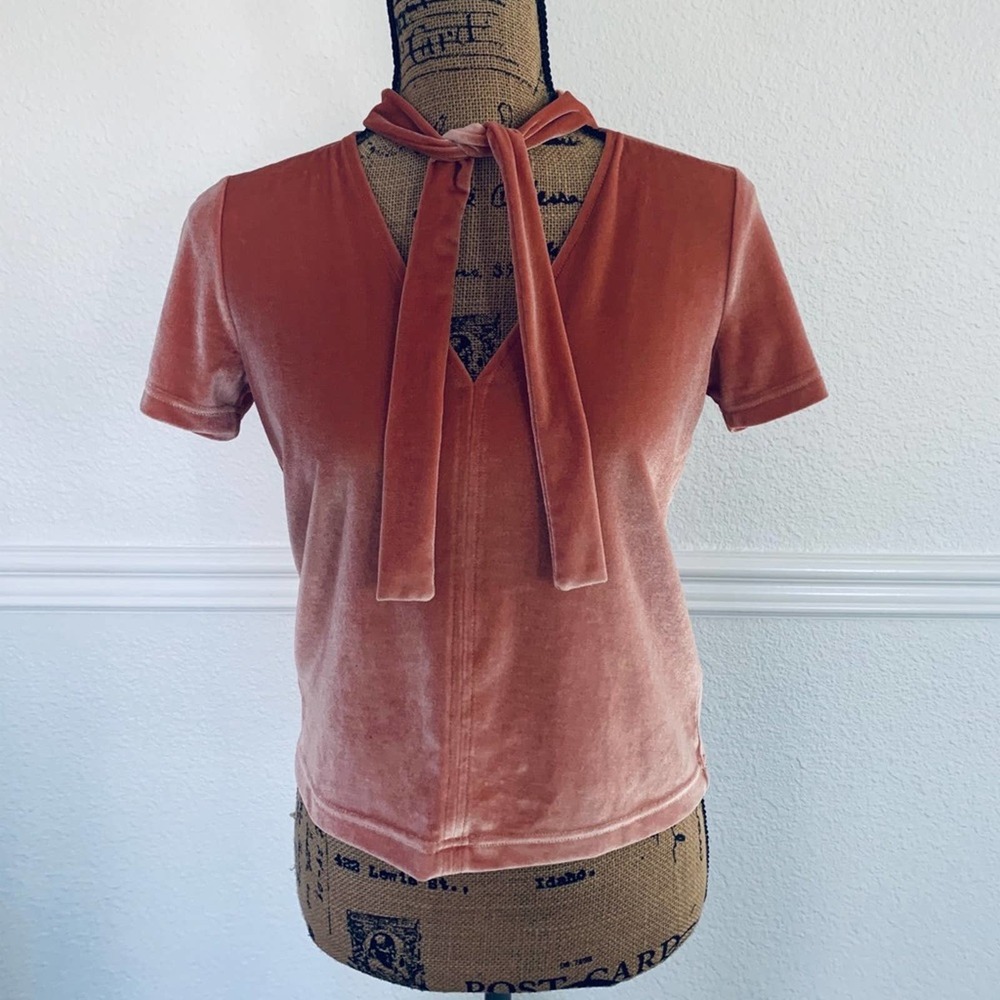 Madewell velvet v neck choker tie top XS